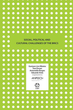Social, Political and Cultural Challenges of the BRICS