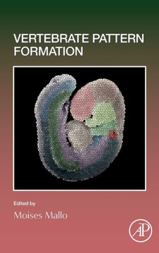 Vertebrate Pattern Formation