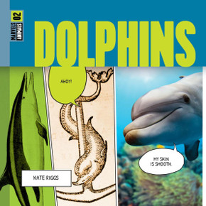Dolphins Dolphins