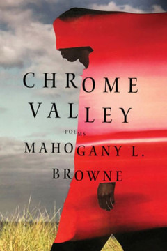 Chrome Valley : Poems