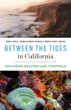Between the Tides in California : Exploring Beaches and Tidepools