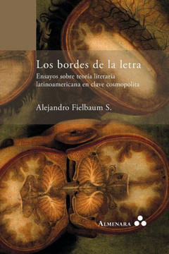 Los Bordes de la Letra. Ensayos Sobre Teoria Literaria Latinoamericana en Clave Cosmopolita