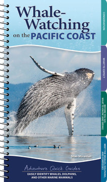 Whale Watching on the Pacific Coast : Easily Identify Whales, Dolphins, and Other Marine Mammals