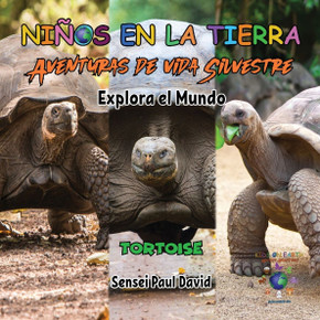 Nin~os en la Tierra Aventuras de vida Silvestre - Explora el Mundo Tortoise - Ecuador