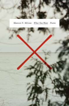 What You Want : Poems What You Want : Poems