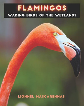 Flamingos : Wading Birds of the Wetlands