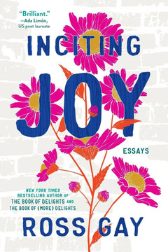 Inciting Joy : Essays