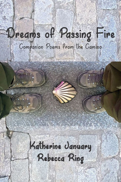 Dreams of Passing Fire : Companion Poems from the Camino Dreams of Passing Fire : Companion Poems from the Camino