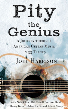 Pity the Genius : A Journey Through American Guitar Music in 33 Tracks