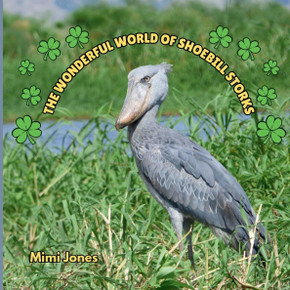 The Wonderful World of Shoebill Storks : Interesting Facts About Shoebill Storks