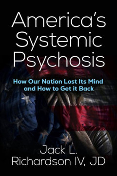America's Systemic Psychosis : How Our Nation Lost Its Mind and How to Get It Back