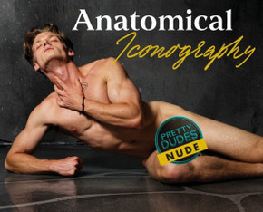 Anatomical Iconography Anatomical Iconography
