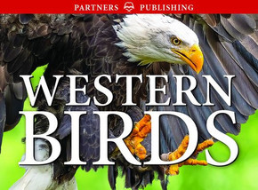 Western Birds : Pocket Guide Western Birds : Pocket Guide