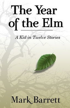 The Year of the Elm : A Kid in Twelve Stories