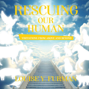 Rescuing Our Human : Visitations from Above and Beyond