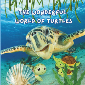 The Wonderful World of Turtles : Interesting Facts About Turtles