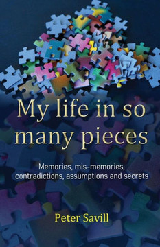My Life in So Many Pieces My Life in So Many Pieces