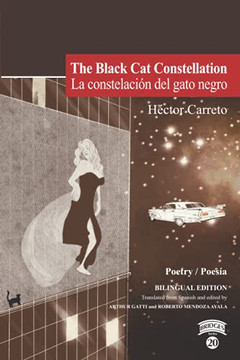 The Black Cat Constellation / La Constelaci?N Del Gato Negro (Spanish Edition)