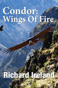Condor: Wings Of Fire