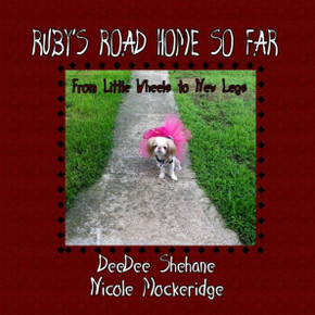 Ruby'S Road Home So Far: From Little Wheels To New Legs