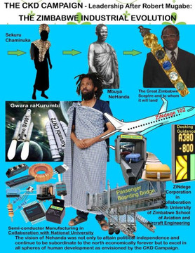 The Ckd Campaign - Leadership After Robert Mugabe: The Zimbabwe Industrial Evolution