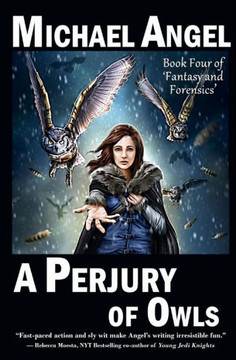 A Perjury Of Owls: Book Four Of 'Fantasy & Forensics'