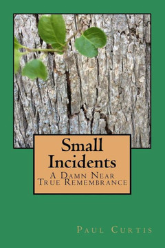 Small Incidents: A Damn Near True Remembrance