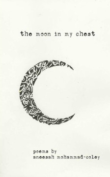 The Moon In My Chest