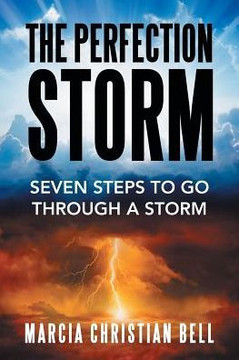 The Perfection Storm: Seven Steps To Go Through A Storm The Perfection Storm: Seven Steps To Go Through A Storm