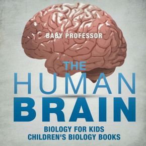 The Human Brain - Biology For Kids Children's Biology Books