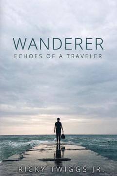 Wanderer: Echoes Of A Traveler