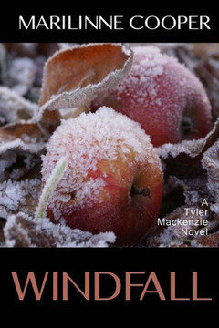 Windfall (Tyler Mackenzie Mysteries) (Volume 7)