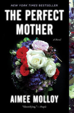 The Perfect Mother: A Novel