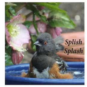 Splish Splash - 9780692937426