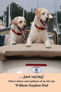 ...just saying!: Observations and opinions of an old salt.