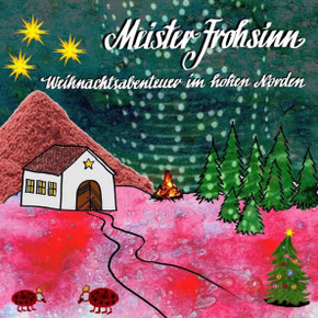 Meister Frohsinn Weihnachtsgeschichte : Weihnachtsabenteuer Im Hohen Norden