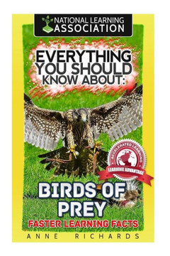 Everything You Should Know About: Birds of Prey