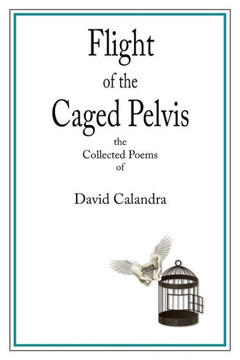 Flight Of The Caged Pelvis