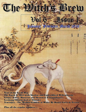 The Witch'S Brew - 9781986450652