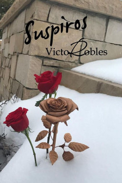 Suspiros Suspiros