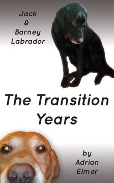 The Transition Years The Transition Years
