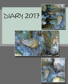 Diary 2017 - 9781540583901