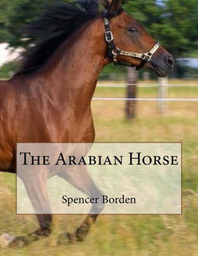 The Arabian Horse The Arabian Horse