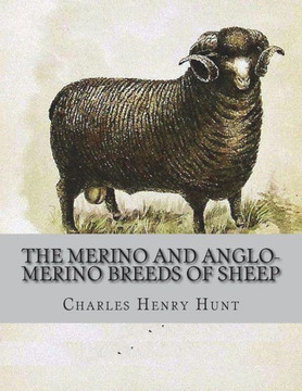 The Merino And Anglo-Merino Breeds Of Sheep
