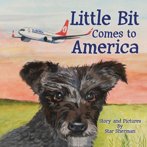 Little Bit Comes To America - 9781545628287