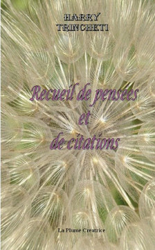 Recueil De Pensees Et De Citations (French Edition) Recueil De Pensees Et De Citations (French Edition)