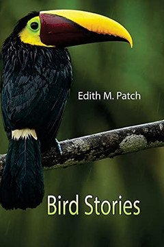 Bird Stories - 9789355110336