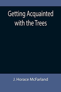 Getting Acquainted With The Trees