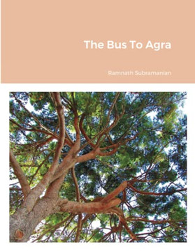 The Bus To Agra