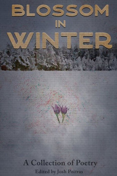 Blossom In Winter - 9781387887637